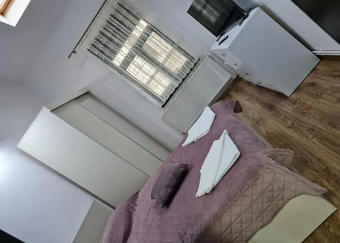Apartament La Cetate
